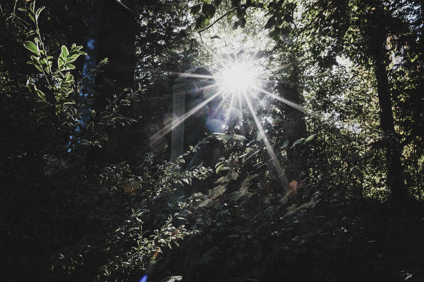 Schortens-Heidmühle, Jüdischer Friedhof